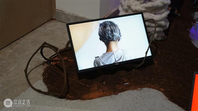 展览现场 (一) | 荒野之声Sounds Wild 液态 Liquid 现场 荒野 Sounds Wild 部分 作品 徐健 记忆 装置 标准 崇真艺客